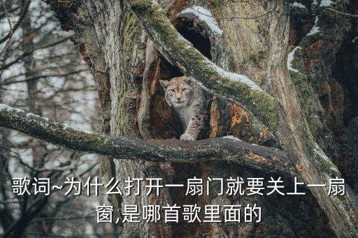 歌词~为什么打开一扇门就要关上一扇窗,是哪首歌里面的