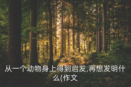 从一个动物身上得到启发,再想发明什么(作文