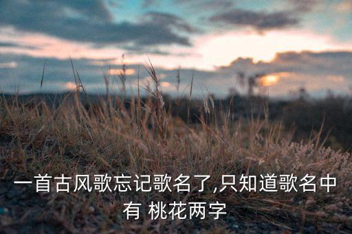 一首古风歌忘记歌名了,只知道歌名中有 桃花两字