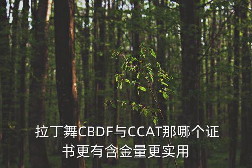  拉丁舞CBDF与CCAT那哪个证书更有含金量更实用