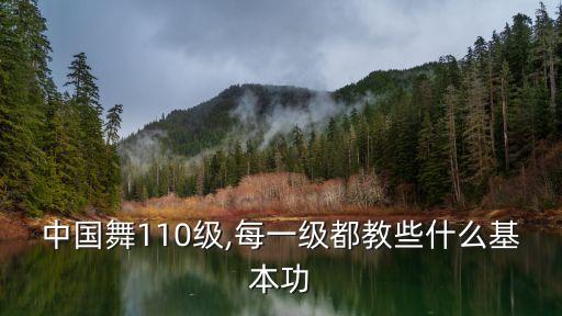 中国舞110级,每一级都教些什么基本功