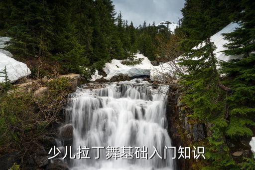 少儿拉丁舞基础入门知识