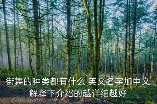 街舞的种类都有什么 英文名字加中文解释下介绍的越详细越好