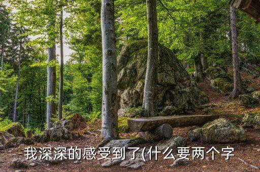 我深深的感受到了(什么要两个字