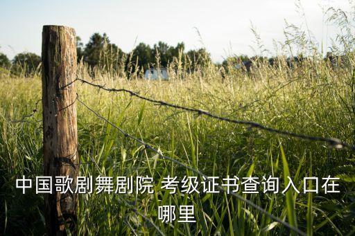 舞蹈考级过没过怎么查,舞蹈一级考级舞蹈视频大全