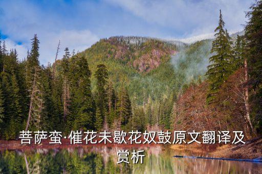  菩萨蛮·催花未歇花奴鼓原文翻译及赏析
