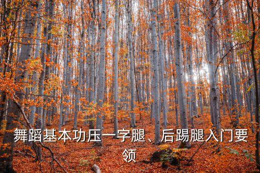  舞蹈基本功压一字腿、后踢腿入门要领