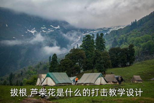 拔根 芦柴花是什么的打击教学设计