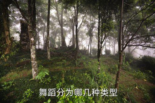  舞蹈分为哪几种类型