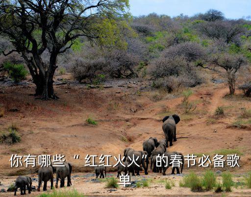 你有哪些“ 红红火火”的春节必备歌单