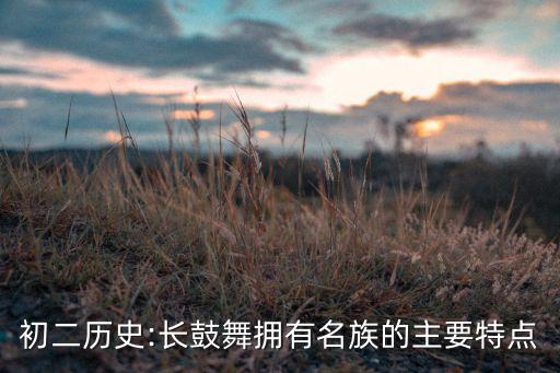 初二历史:长鼓舞拥有名族的主要特点