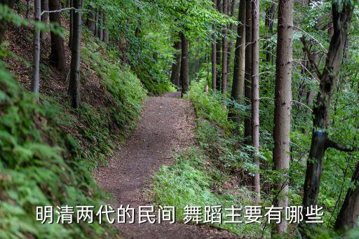 舞蹈霸王鞭