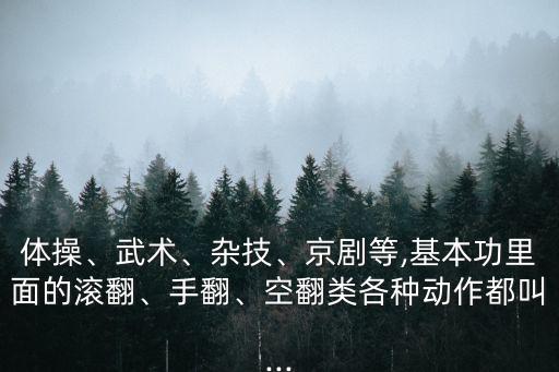 关于戏曲的健美操舞蹈名字,健美操舞蹈名字有创意好听