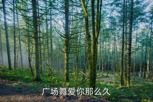 广场舞爱你那么久