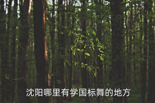  沈阳哪里有学国标舞的地方
