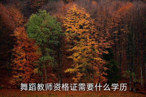  舞蹈教师资格证需要什么学历