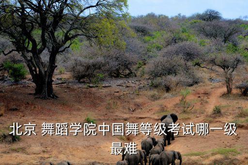 北京 舞蹈学院中国舞等级考试哪一级最难