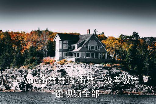 who you街舞舞蹈,街舞一级考级舞蹈视频全部