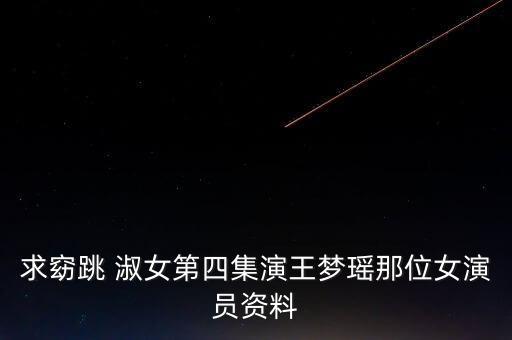 淑女舞蹈视频,淑女的生存法则视频