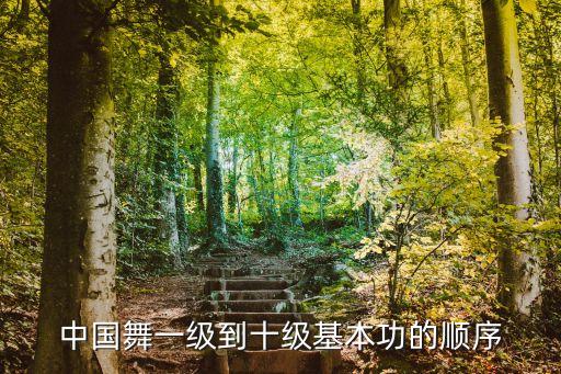 民族舞蹈错步走法