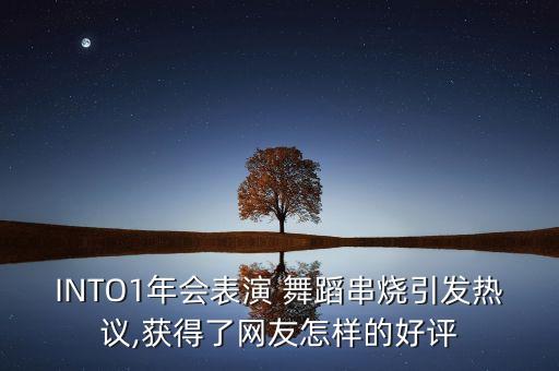 INTO1年会表演 舞蹈串烧引发热议,获得了网友怎样的好评