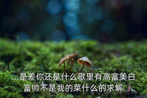 我不是高富帅的舞蹈,我真不是高富帅