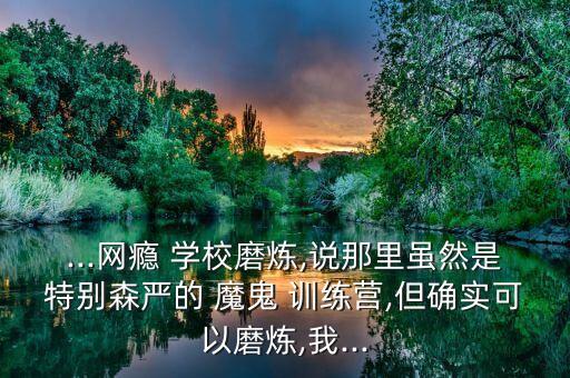 ...网瘾 学校磨炼,说那里虽然是特别森严的 魔鬼 训练营,但确实可以磨炼,我...