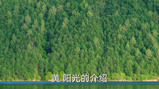 黄阳光舞蹈视频下载,教会最新最好舞蹈视频下载