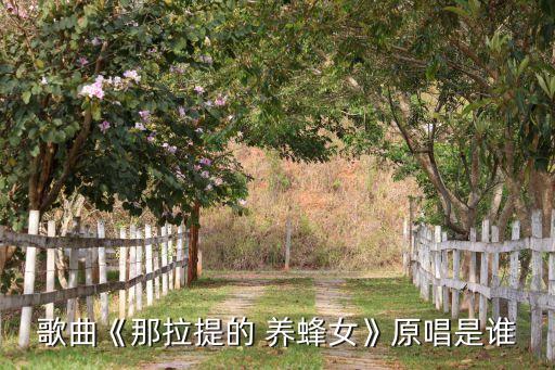 舞蹈可可托海的养蜂女,可可托海的牧羊人找到养蜂女了吗