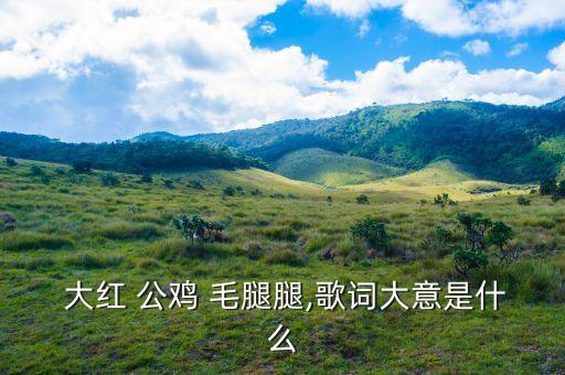 大红公鸡毛腿腿舞蹈