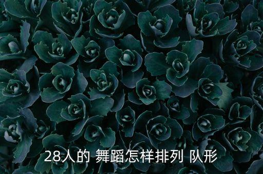 28人的 舞蹈怎样排列 队形