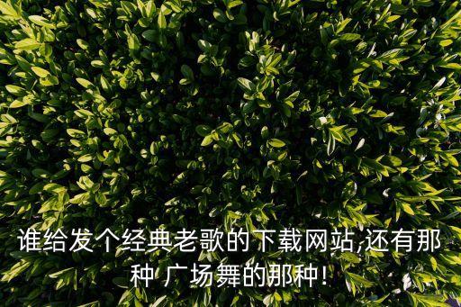 谁给发个经典老歌的下载网站,还有那种 广场舞的那种!