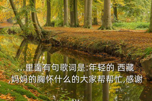 ...里面有句歌词是:年轻的 西藏,妈妈的胸怀什么的大家帮帮忙,感谢...