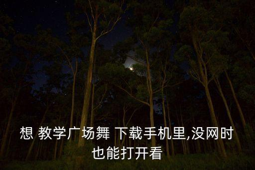 想 教学广场舞 下载手机里,没网时也能打开看