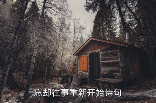忘却往事重新开始诗句