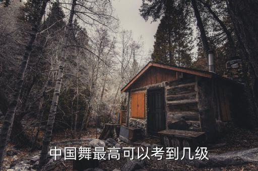 中国舞最高可以考到几级