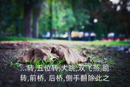 ...转,五位转,大跳,双飞燕,跪转,前桥, 后桥,侧手翻除此之
