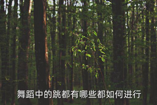  舞蹈中的跳都有哪些都如何进行