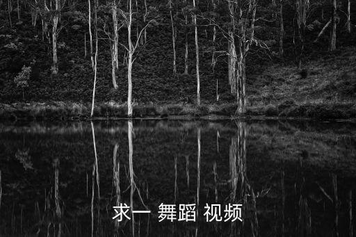 求一 舞蹈 视频
