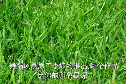 一片羽毛 舞蹈赏析,舞蹈一片羽毛表现了什么意境