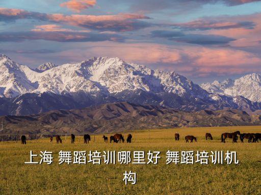  上海 舞蹈培训哪里好 舞蹈培训机构