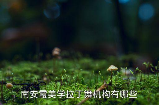 南安霞美学拉丁舞机构有哪些