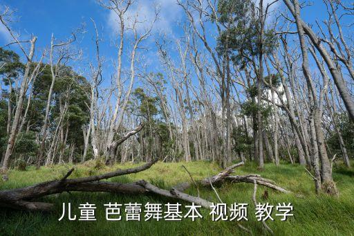 初级芭蕾舞蹈教学视频下载,踩踩踩舞蹈教学视频下载