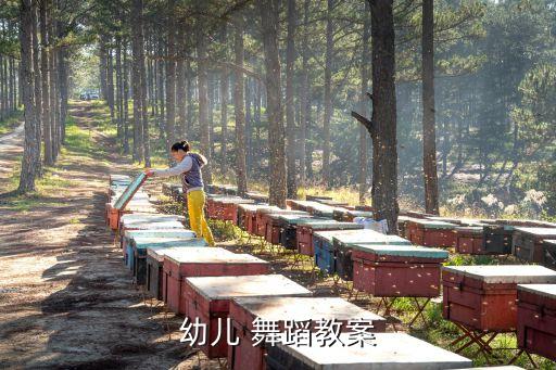 快乐星星舞蹈视频教学,你是太阳我是星星舞蹈视频教学