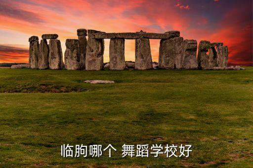 临朐哪个 舞蹈学校好