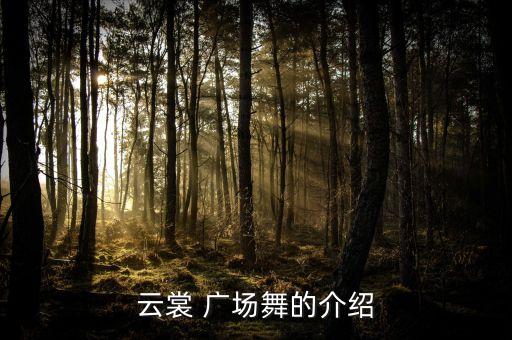 云裳 广场舞的介绍