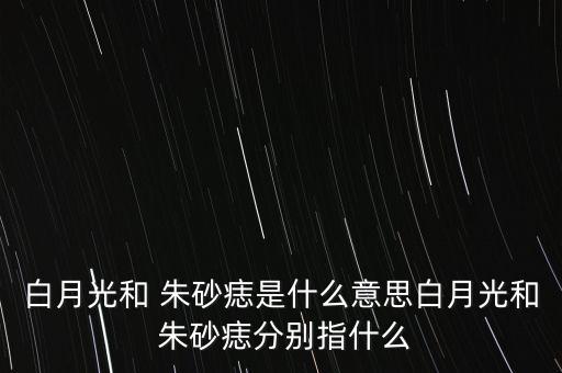 白月光和 朱砂痣是什么意思白月光和 朱砂痣分别指什么