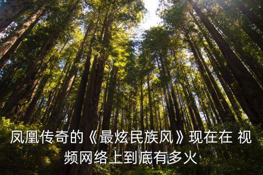 凤凰传奇的《最炫民族风》现在在 视频网络上到底有多火