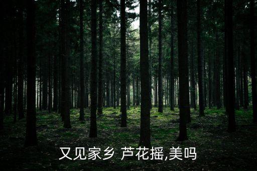 芦花美的舞蹈