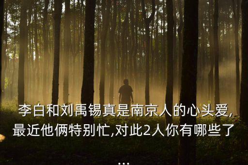  李白和刘禹锡真是南京人的心头爱,最近他俩特别忙,对此2人你有哪些了...